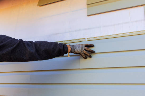 Trusted Lenox, IA Siding Experts